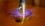 Electrical Insulation Materials